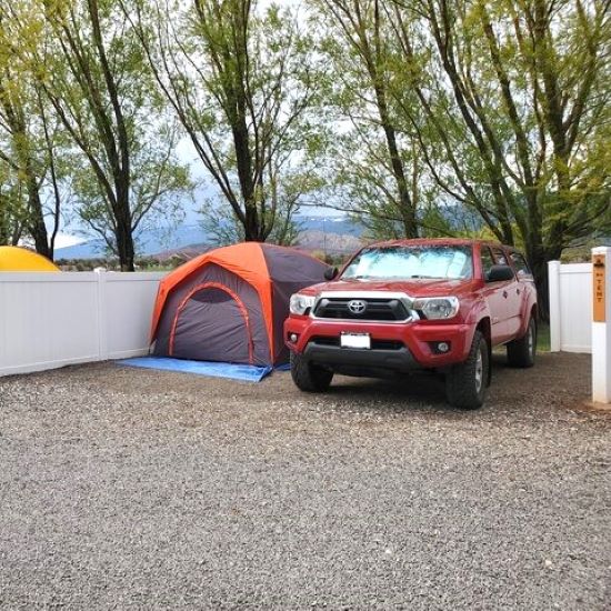 A tent beneath our shade trees